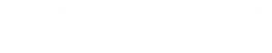 Topazsport logo wit